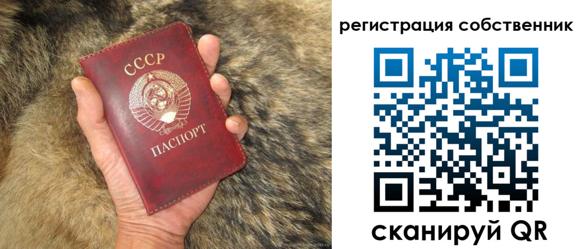 прописка поиск в Якутске